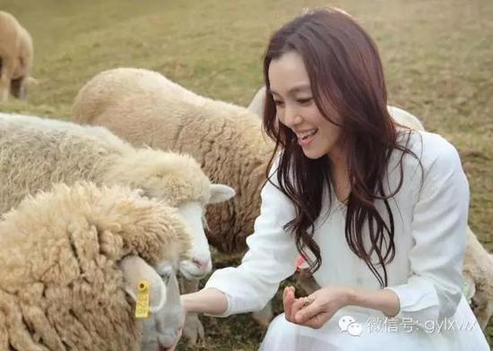 明星旅行糗事一籮筐 總有一個萌到你！