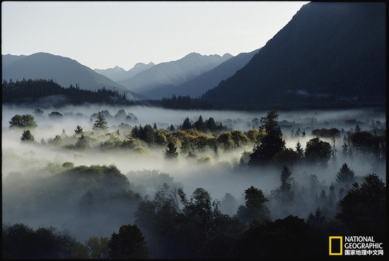 奧林匹克國家公園，華盛頓州攝影：Sam Abell，國家地理創(chuàng)意版