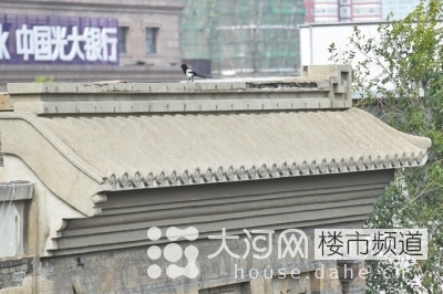 鄭州花園路“飛機樓”也要拆？去留引發(fā)關注