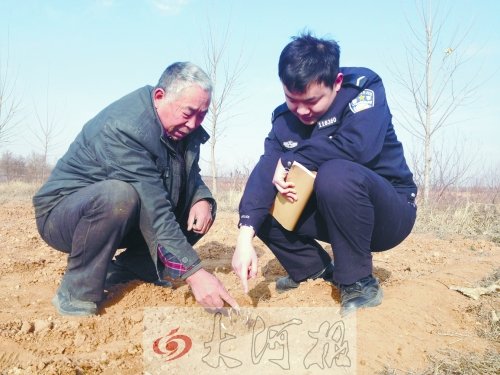 牡丹苗被盜之后，郭萬通又補種的牡丹苗已經(jīng)發(fā)芽
