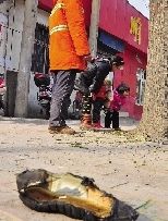 老漢右腿燒傷，樹(shù)下扔了一只燒焦的鞋