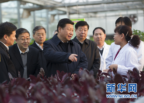  27日下午，習(xí)近平在山東省農(nóng)業(yè)科學(xué)院智能化溫室了解農(nóng)業(yè)科技創(chuàng)新情況。