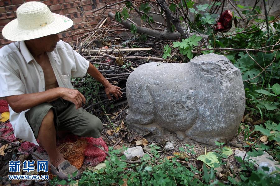 朝陽鎮(zhèn)后李村業(yè)余文保隊員，今年65歲的李連堂在上世紀(jì)平整土地時候，從地里挖出一個石羊殘身，至今仍放在