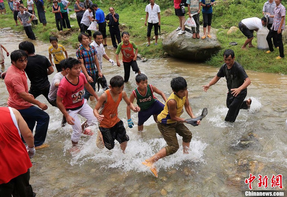 7月9日，村民在小河里摸魚搶魚。譚凱興 攝
