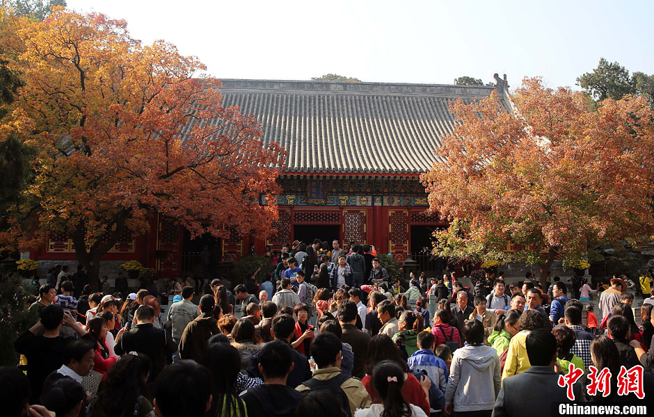 　10月26日，北京香山公園內(nèi)游客摩肩接踵。