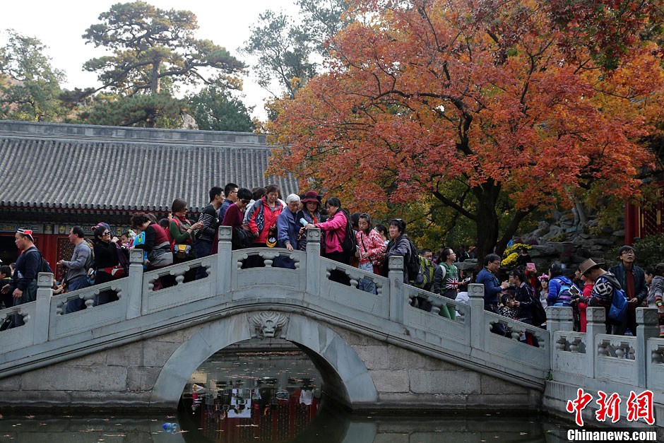 　10月26日，北京香山公園內(nèi)游客摩肩接踵。