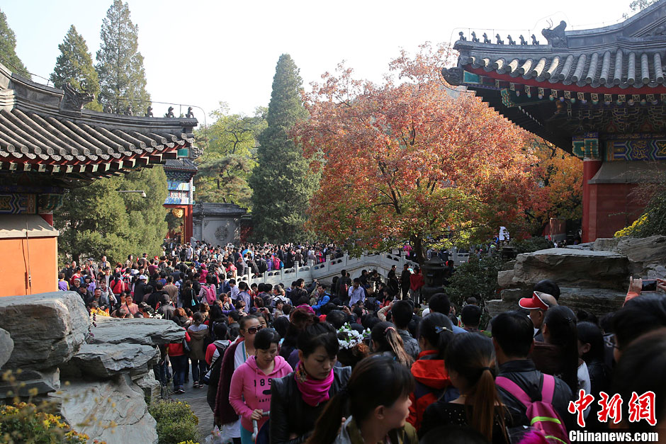 　10月26日，北京香山公園內(nèi)游客摩肩接踵。