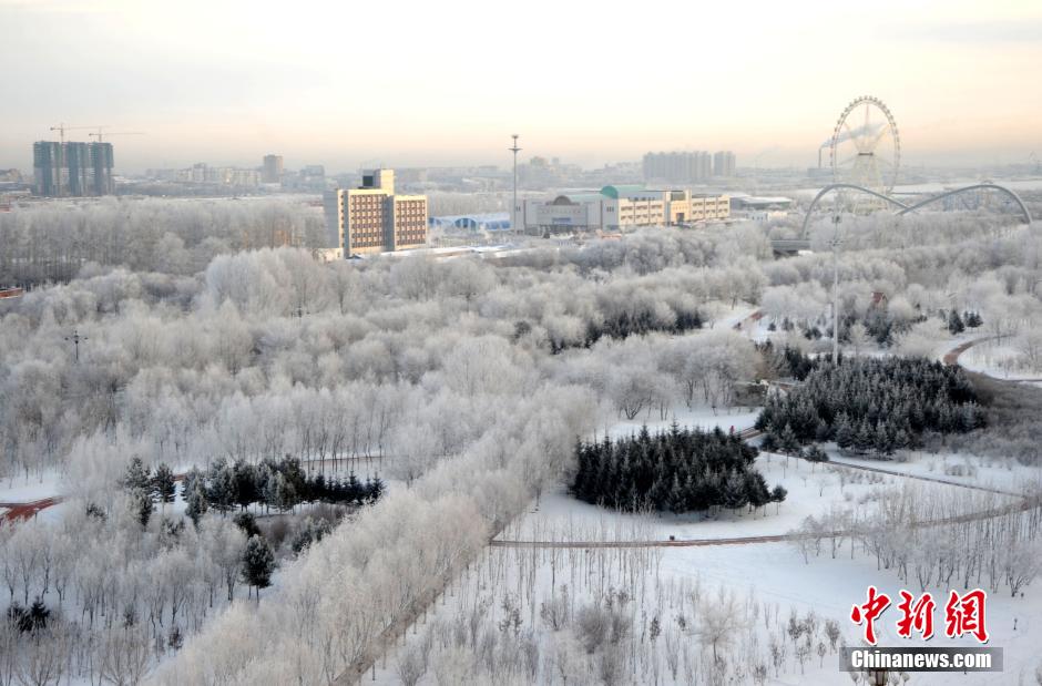 12月10日,受降溫天氣影響,黑河市黑龍江江畔出現(xiàn)綿延數(shù)公里的霧凇景觀。