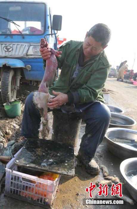 圖為12月1日，104國(guó)道靜?？h城附近，顧客挑好后，商販拎著死兔將皮完整地扒下來(lái)。田寶希 攝 圖片來(lái)