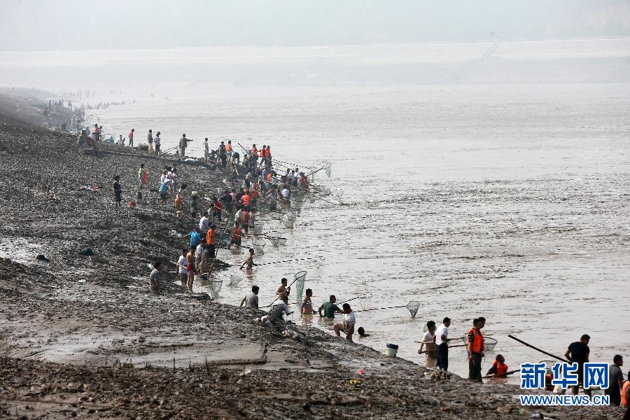 7月6日,在山西省平陸縣黃河岸邊,人們在河邊捕撈黃河“流魚”。