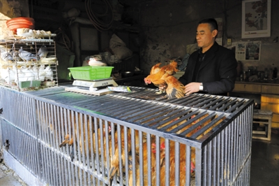 南京另一家農(nóng)貿(mào)市場(chǎng)內(nèi)待售的活雞。因南京出現(xiàn)H7N9禽流病例，買活雞的顧客減少。