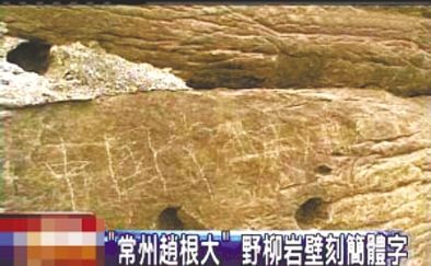 “常州趙根大” 2009年3月27日，臺(tái)灣北海岸野柳地質(zhì)公園巖壁上被刻下“中國(guó)常州趙根大”字樣。臺(tái)灣媒體將此事報(bào)道后，趙根大公開道歉。