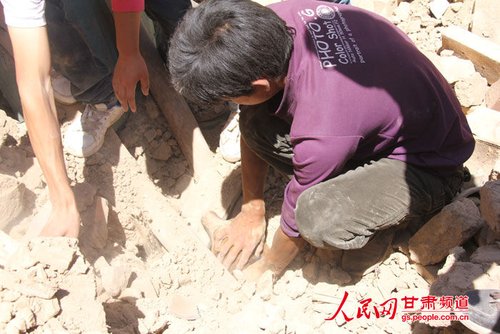 小黃狗露出了鼻子。王生元/攝