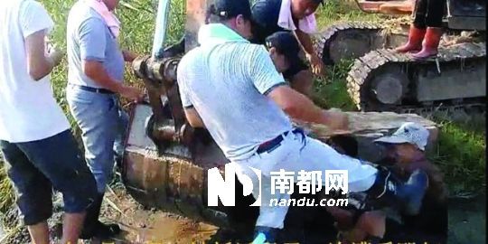 幾名戴黑帽的男子將一名老人推入水塘，后反復腳踹。