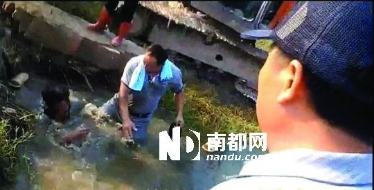 男子沒入水塘后試圖反抗，遭戴黑帽男子毆打。視頻截圖