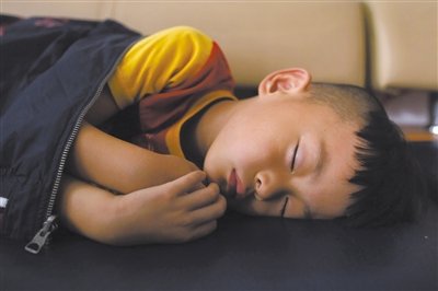 9月6日，等待錄制節(jié)目的多多躺在沙發(fā)上熟睡。新京報(bào)記者 侯少卿 攝