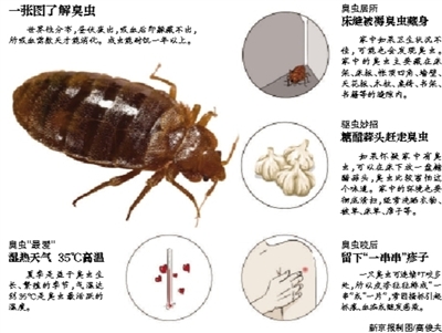 鐵路部門(mén)回應(yīng)京滬高鐵現(xiàn)臭蟲(chóng)