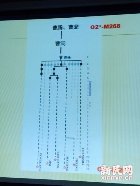 圖說：復旦課題組發(fā)布曹操家族DNA研究結(jié)果。新民網(wǎng) 記者 李欣 攝