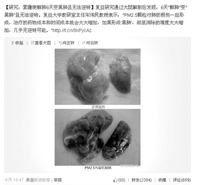 昨天，一則“霧霾使鮮肺6天變黑肺”的新聞在網(wǎng)上引發(fā)熱議。網(wǎng)絡(luò)截圖