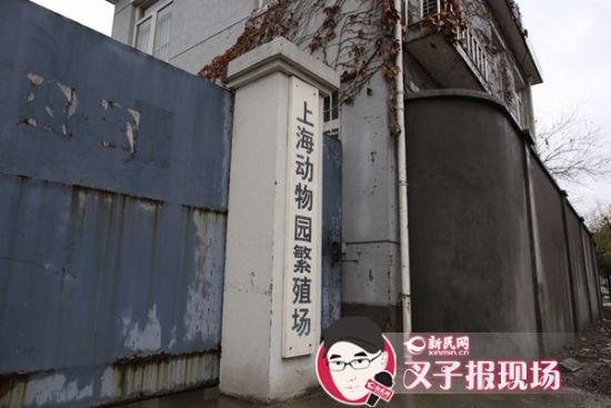 圖說：新民網(wǎng)記者趕到時，上海動物園繁殖場大門緊閉。新民網(wǎng) 記者 蕭君瑋 攝