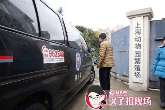 殯葬車到達現(xiàn)場。新民網(wǎng) 記者 蕭君瑋 攝