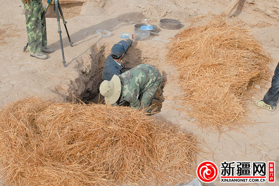考古人員正在清理麥稈。（圖由中國科學(xué)院人文學(xué)院科技室與科技考古系提供）