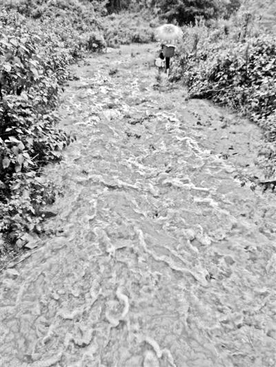 梅子回家的山道，晴天是路，雨天是河