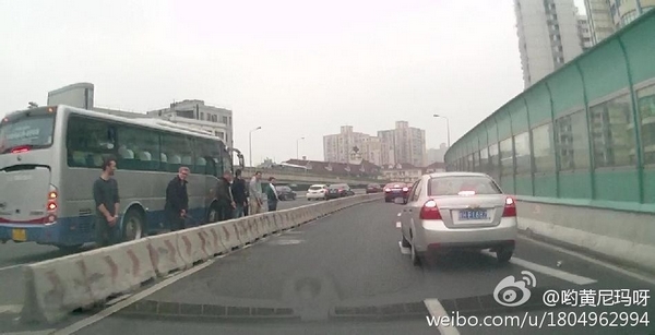 圖說:網(wǎng)友發(fā)布的老外在高架上行為不雅的照片。