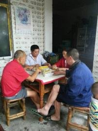 掃水掃不及，胥家鎮(zhèn)柏河村的居民干脆打起了麻將。