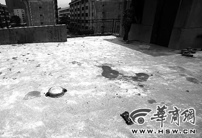 藏獒就養(yǎng)在這個樓頂，孩子從欄桿處墜落 本報記者 趙航 攝