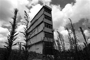 這幢5層的“片片樓”周圍已是一片拆遷后的廢墟，左邊的一堵墻上，不少鋼筋裸露在外面 圖片來源：新華網