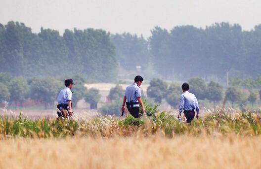 昨日上午，合肥長豐縣雙墩鎮(zhèn)，民警分成小隊(duì)在案發(fā)村莊附近麥田搜捕嫌犯。記者劉玉才/攝