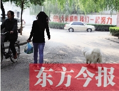 啟明一巷內，一名女子帶著狗狗去買菜。狗隨地大小便，狗的主人未制止