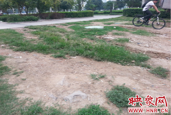 公園內(nèi)大片草坪遭到破壞。