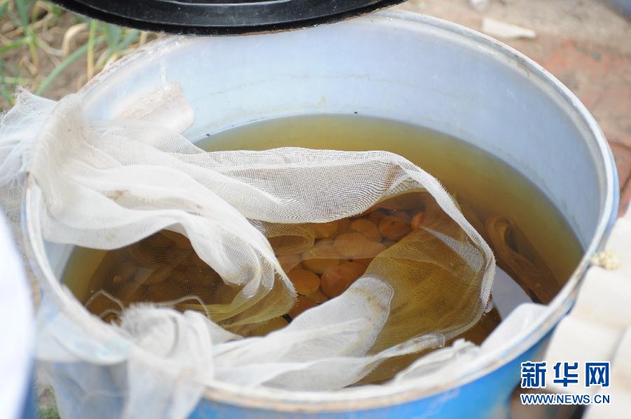 地下水成“綠茶”　污染二十多年該誰治？