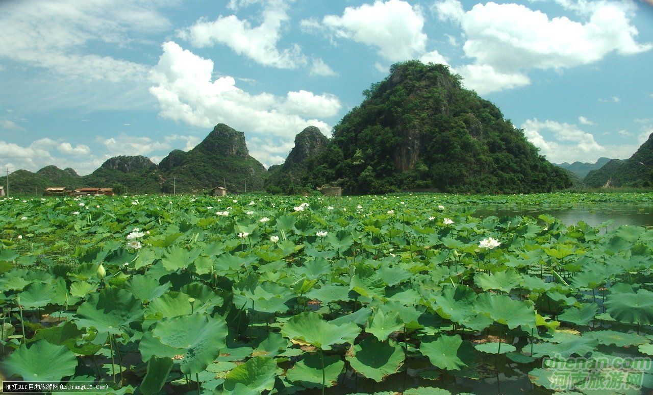 爸爸去哪兒？親密接觸荷花仙子