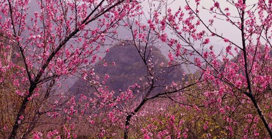 撿垃圾換玫瑰 女人節(jié) 愛在神農(nóng)山！