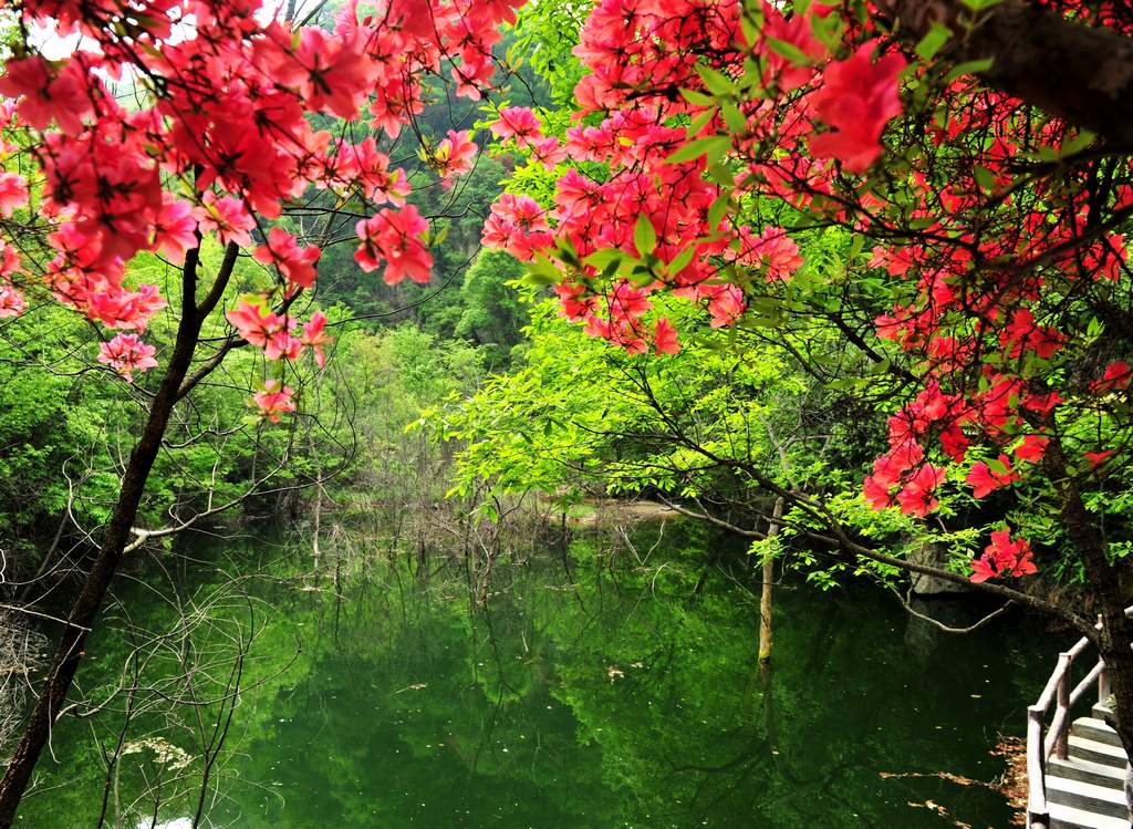 母親節(jié)河南景區(qū)優(yōu)惠大波來襲！