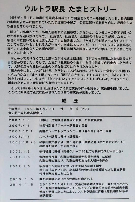 全球最萌車(chē)站 站長(zhǎng)是只貓