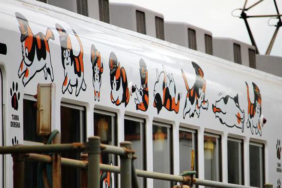 全球最萌車(chē)站 站長(zhǎng)是只貓