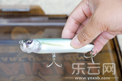 　　又稱擬餌釣魚,起源于歐洲,國內翻譯為“路亞”。