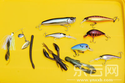 　　又稱擬餌釣魚,起源于歐洲,國內翻譯為“路亞”。