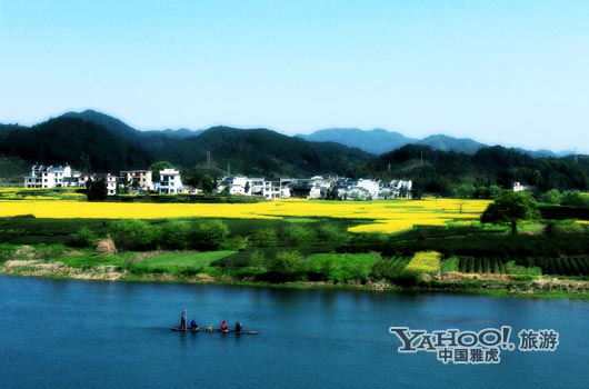 　　婺源號稱是中國最美麗的鄉(xiāng)村,她最美麗的季節(jié)是三月中下旬。(圖片來源:CFP)