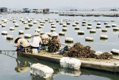 以漁為生，造就了他們不同于內(nèi)地的口味