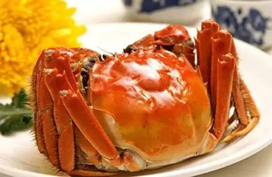 秋季最適合吃的海鮮是這10種 你吃對了嗎？