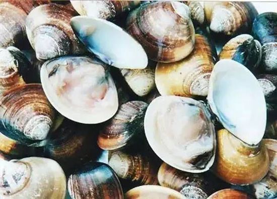 秋季最適合吃的海鮮是這10種 你吃對了嗎？