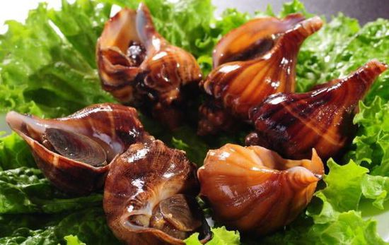 秋季最適合吃的海鮮是這10種 你吃對了嗎？