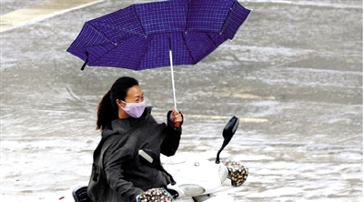 昨日下午，隴海路上，雨中風(fēng)大，一位女士的傘被吹翻了。