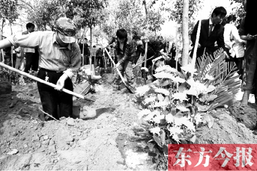 鄭州集體樹(shù)葬活動(dòng)開(kāi)展7年 已有636個(gè)家庭參與