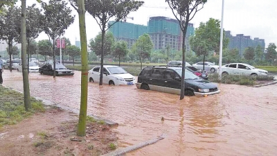 昨日，信陽突降暴雨，路面積水已淹沒輪胎。首席記者 何正權(quán) 通訊員 楊小燕 攝影